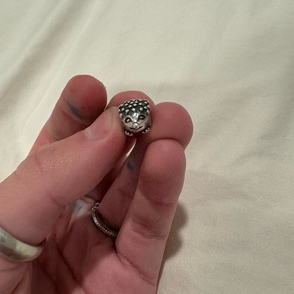 Pandora Bracelets with Charms - Picture 14 of 17